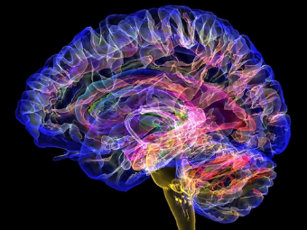 色逼靠大脑植入物有助于严重头部损伤恢复